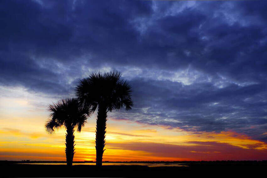 South-Carolina